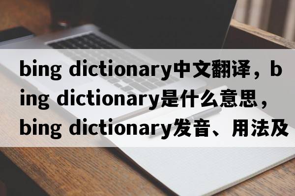 bing dictionary中文翻譯，bing dictionary是什么意思，bing dictionary發(fā)音、用法及例句