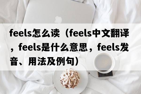 feels怎么讀（feels中文翻譯，feels是什么意思，feels發(fā)音、用法及例句）