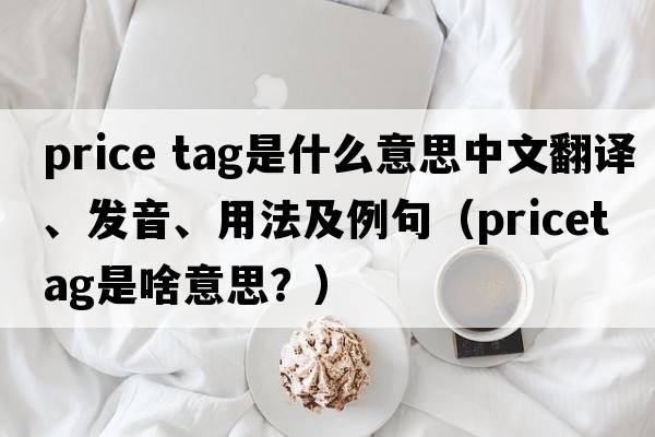 price tag是什么意思中文翻譯、發(fā)音、用法及例句（pricetag是啥意思？）