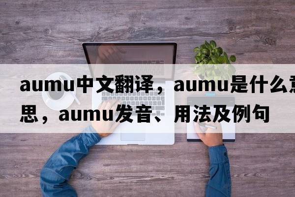 aumu中文翻譯，aumu是什么意思，aumu發(fā)音、用法及例句