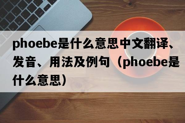 phoebe是什么意思中文翻譯、發(fā)音、用法及例句（phoebe是什么意思）
