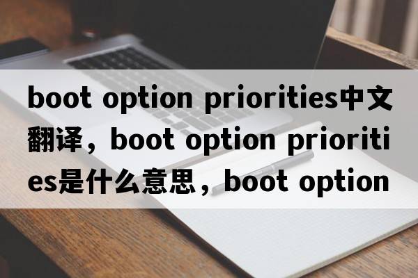 boot option priorities中文翻譯，boot option priorities是什么意思，boot option priorities發(fā)音、用法及例句