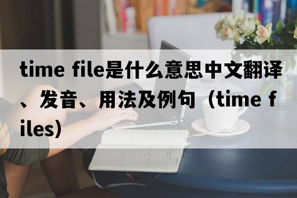 time file是什么意思中文翻譯、發(fā)音、用法及例句（time files）