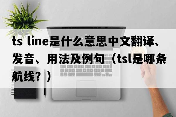 ts line是什么意思中文翻譯、發(fā)音、用法及例句（tsl是哪條航線(xiàn)？）