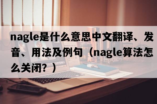 Nagle是什么意思中文翻譯、發(fā)音、用法及例句（nagle算法怎么關(guān)閉？）