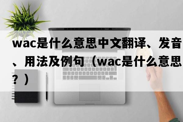 wac是什么意思中文翻譯、發(fā)音、用法及例句（Wac是什么意思？）
