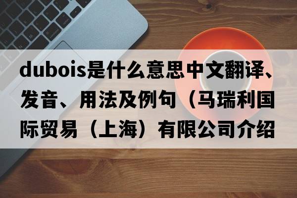 DuBois是什么意思中文翻譯、發(fā)音、用法及例句（馬瑞利國際貿易（上海）有限公司介紹？）