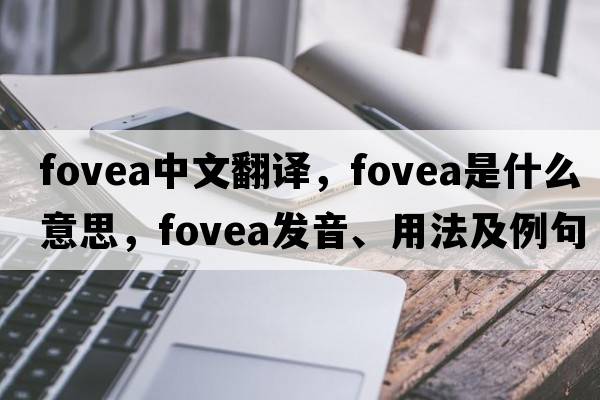 fovea中文翻譯，fovea是什么意思，fovea發(fā)音、用法及例句