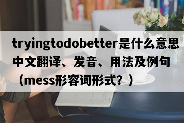 tryingtodobetter是什么意思中文翻譯、發(fā)音、用法及例句（mess形容詞形式？）