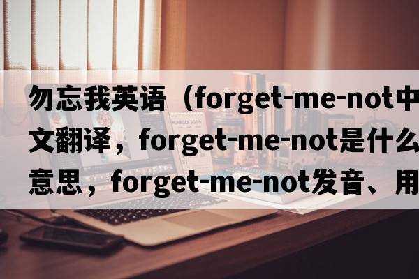 勿忘我英語(yǔ)（forget-me-not中文翻譯，forget-me-not是什么意思，forget-me-not發(fā)音、用法及例句）