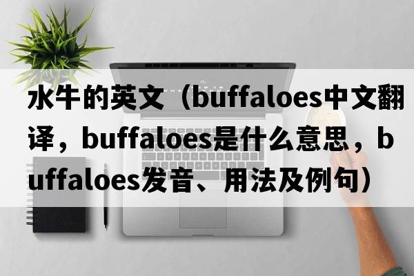 水牛的英文（buffaloes中文翻譯，buffaloes是什么意思，buffaloes發(fā)音、用法及例句）