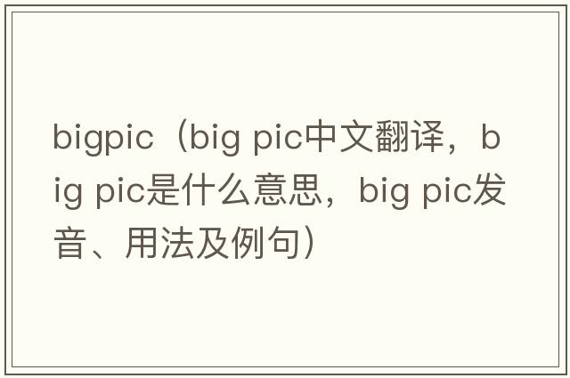 bigpic（big pic中文翻譯，big pic是什么意思，big pic發(fā)音、用法及例句）