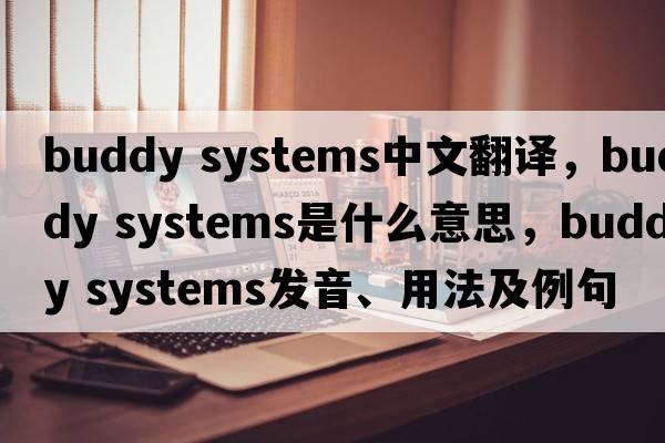 buddy systems中文翻譯，buddy systems是什么意思，buddy systems發(fā)音、用法及例句
