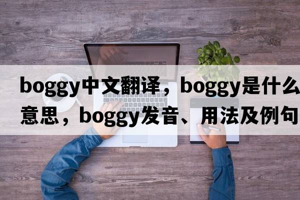 boggy中文翻譯，boggy是什么意思，boggy發(fā)音、用法及例句