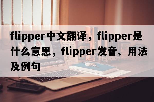 flipper中文翻譯，flipper是什么意思，flipper發(fā)音、用法及例句