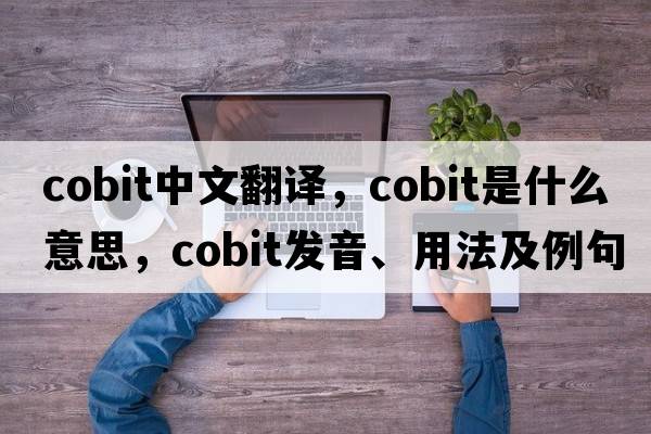 cobit中文翻譯，cobit是什么意思，cobit發(fā)音、用法及例句