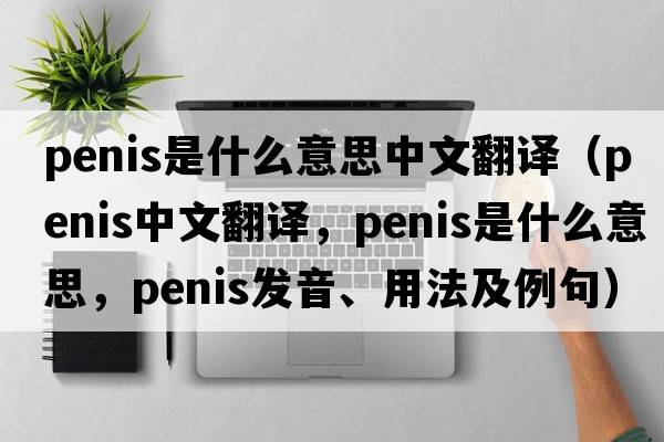 penis是什么意思中文翻譯（penis中文翻譯，penis是什么意思，penis發(fā)音、用法及例句）