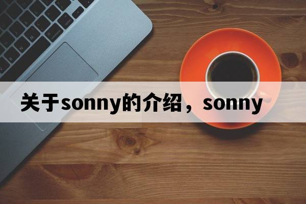 關(guān)于sonny的介紹，sonny