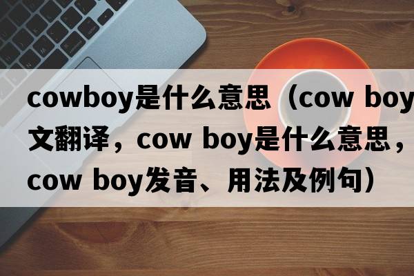 cowboy是什么意思（cow boy中文翻譯，cow boy是什么意思，cow boy發(fā)音、用法及例句）