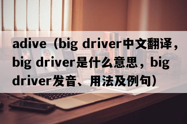 adive（big driver中文翻譯，big driver是什么意思，big driver發(fā)音、用法及例句）