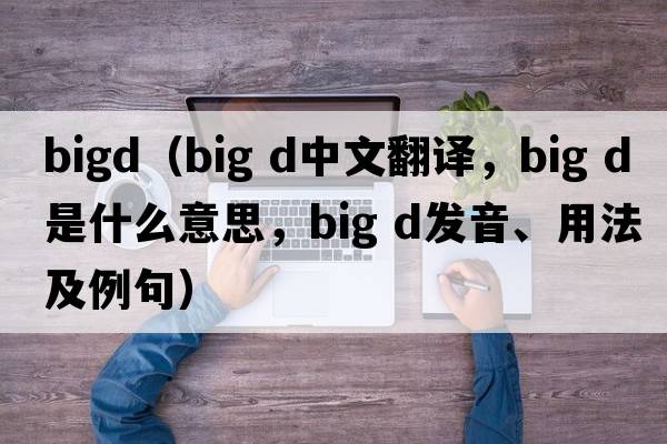 bigd（big d中文翻譯，big d是什么意思，big d發(fā)音、用法及例句）