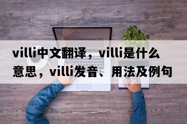 villi中文翻譯，villi是什么意思，villi發(fā)音、用法及例句