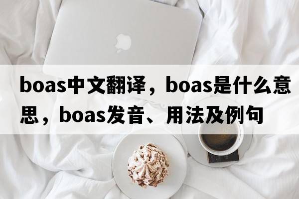 boas中文翻譯，boas是什么意思，boas發(fā)音、用法及例句