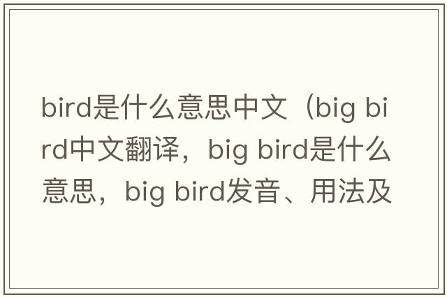 bird是什么意思中文（big bird中文翻譯，big bird是什么意思，big bird發(fā)音、用法及例句）