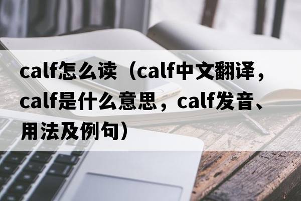 calf怎么讀（calf中文翻譯，calf是什么意思，calf發(fā)音、用法及例句）