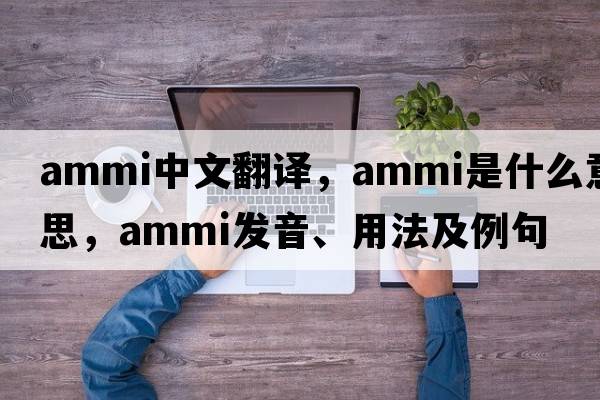 AMMI中文翻譯，AMMI是什么意思，AMMI發(fā)音、用法及例句