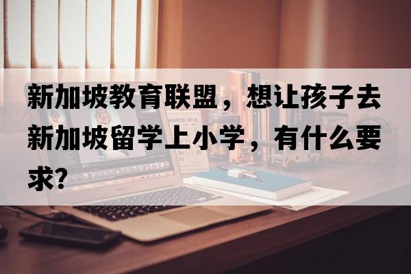新加坡教育聯(lián)盟，想讓孩子去新加坡留學(xué)上小學(xué)，有什么要求？