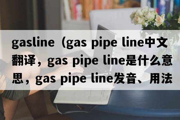 gasline（gas pipe line中文翻譯，gas pipe line是什么意思，gas pipe line發(fā)音、用法及例句）