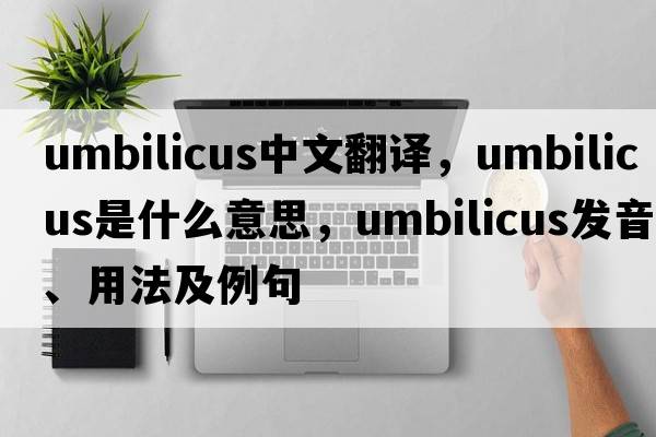 umbilicus中文翻譯，umbilicus是什么意思，umbilicus發(fā)音、用法及例句