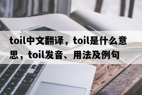 toil中文翻譯，toil是什么意思，toil發(fā)音、用法及例句