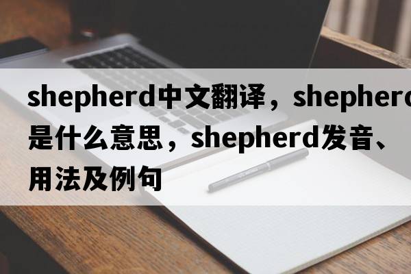 shepherd中文翻譯，shepherd是什么意思，shepherd發(fā)音、用法及例句