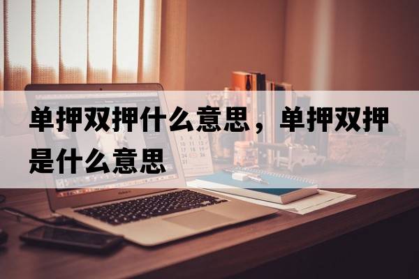 單押雙押什么意思，單押雙押是什么意思