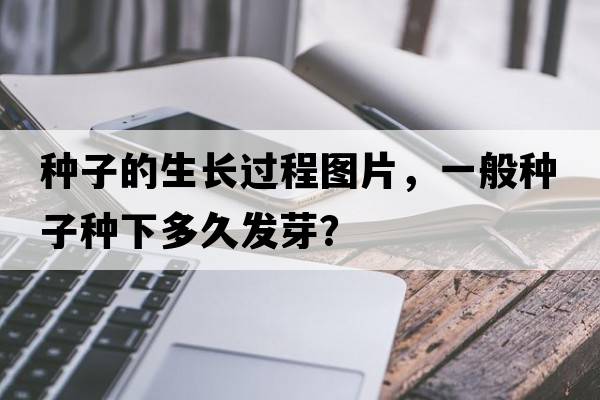 種子的生長(cháng)過(guò)程圖片，一般種子種下多久發(fā)芽？
