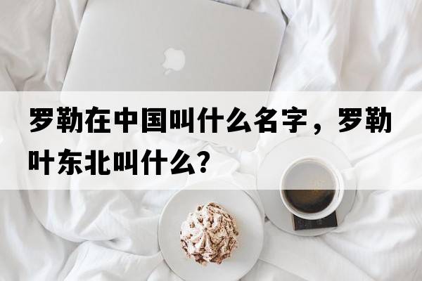 羅勒在中國叫什么名字，羅勒葉東北叫什么？