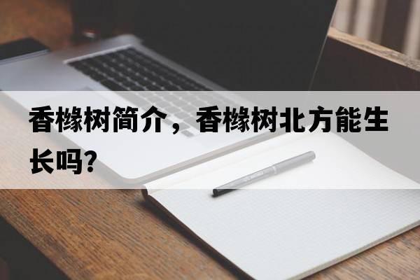 香櫞樹(shù)簡(jiǎn)介，香櫞樹(shù)北方能生長(cháng)嗎？
