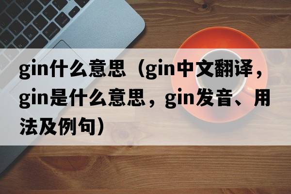 gin什么意思（gin中文翻譯，gin是什么意思，gin發(fā)音、用法及例句）
