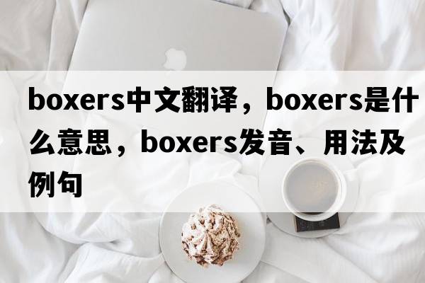 boxers中文翻譯，boxers是什么意思，boxers發(fā)音、用法及例句