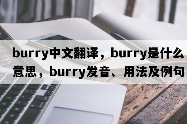burry中文翻譯，burry是什么意思，burry發(fā)音、用法及例句