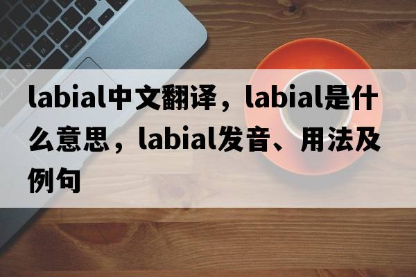 labial中文翻譯，labial是什么意思，labial發(fā)音、用法及例句