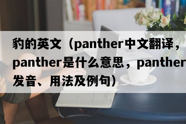 豹的英文（panther中文翻譯，panther是什么意思，panther發(fā)音、用法及例句）