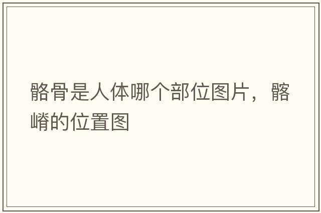 骼骨是人體哪個(gè)部位圖片，髂嵴的位置圖
