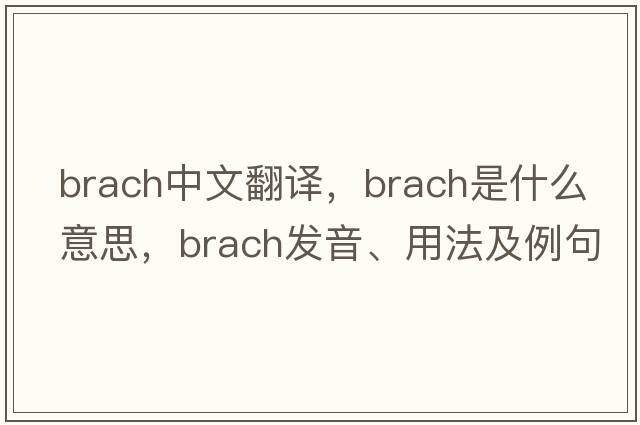 brach中文翻譯，brach是什么意思，brach發(fā)音、用法及例句