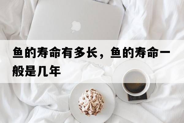 魚(yú)的壽命有多長(cháng)，魚(yú)的壽命一般是幾年