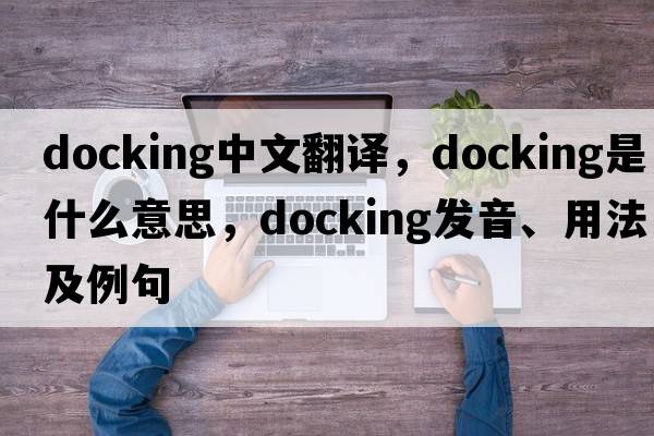 docking中文翻譯，docking是什么意思，docking發(fā)音、用法及例句