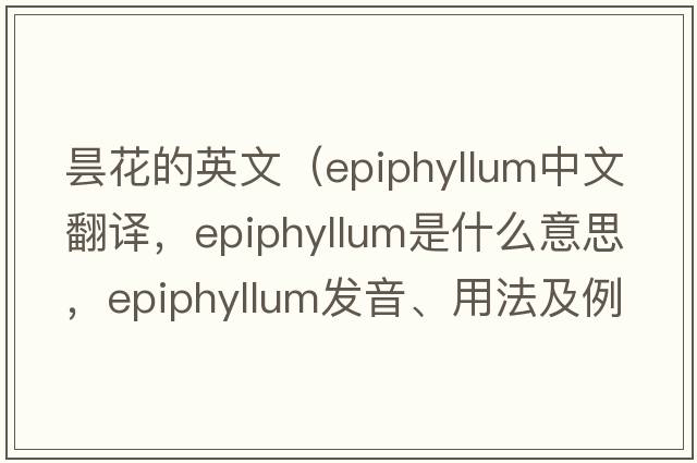 曇花的英文（epiphyllum中文翻譯，epiphyllum是什么意思，epiphyllum發(fā)音、用法及例句）