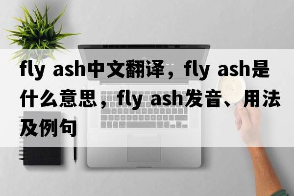 fly ash中文翻譯，fly ash是什么意思，fly ash發(fā)音、用法及例句